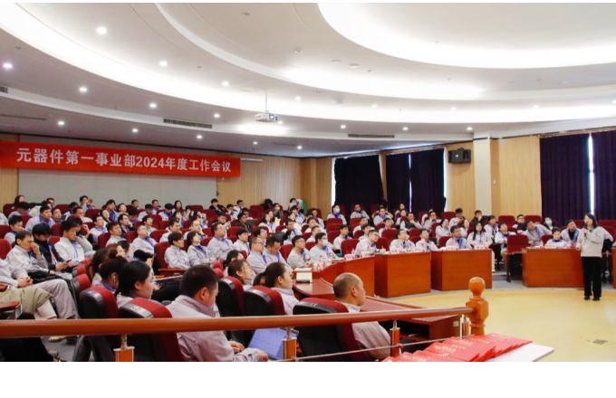 砥砺前行  再启新章 | BB视讯光电元器件第一事业部2024年度事情聚会